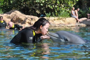 li with dolphin